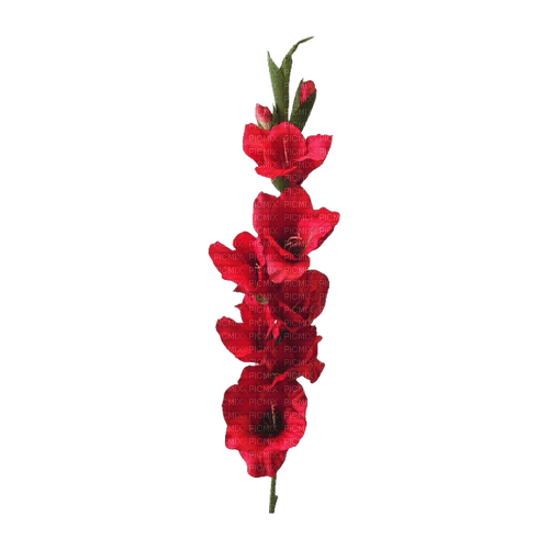 kikkapink deco scrap red flowers branch - 無料png