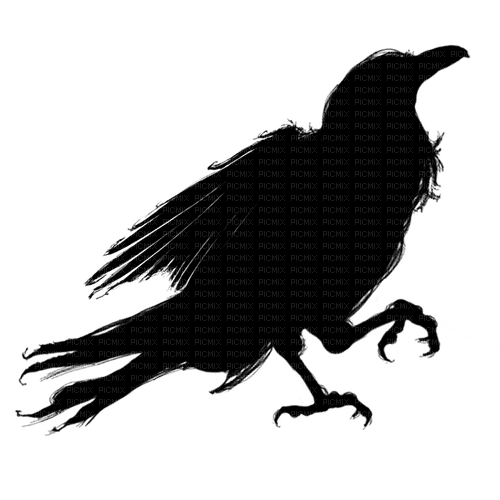Raven - 無料png