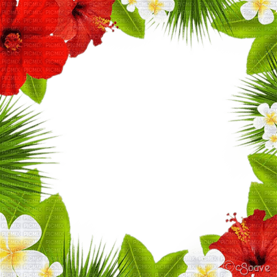 soave frame summer flowers green red white yellow - PNG gratuit