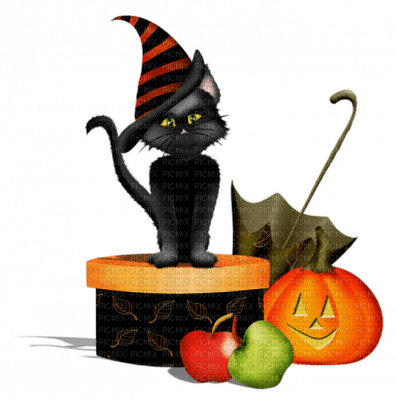 halloween black cat hat pumpkin - бесплатно png