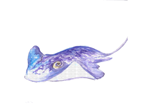 Painting watercolor animal - 免费PNG