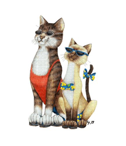vacation cats - darmowe png