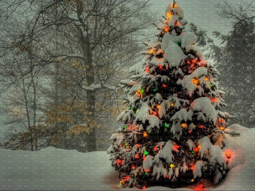 Noël.Christmas.Fond.Tree.Arbre.Victoriabea - png grátis