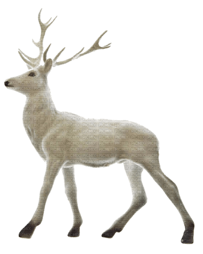 reindeer Bb2 - ücretsiz png