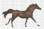 cheval au galop - Darmowy animowany GIF