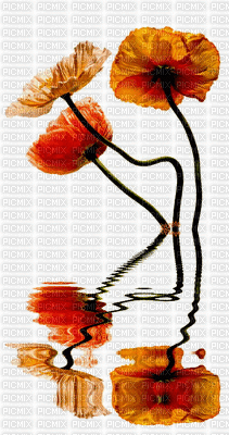 Fleur orange.Cheyenne63 - Безплатен анимиран GIF