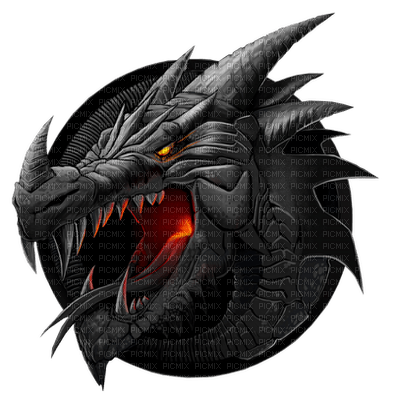 dragon sym - zdarma png
