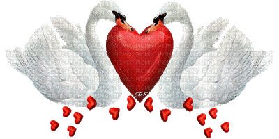лебеди,сердце - Безплатен анимиран GIF