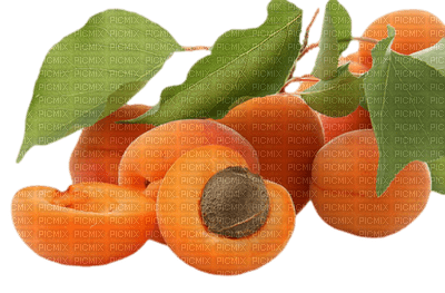 fruit apricots bp - 無料png