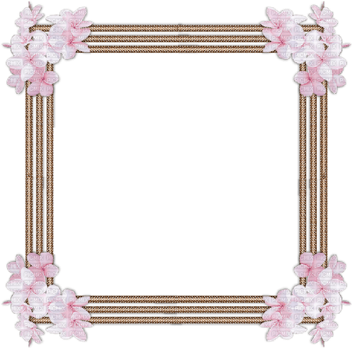 Flower Frame - ücretsiz png