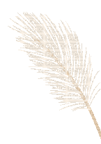 Plants.plante.Deco.gif.Victoriabea - Безплатен анимиран GIF