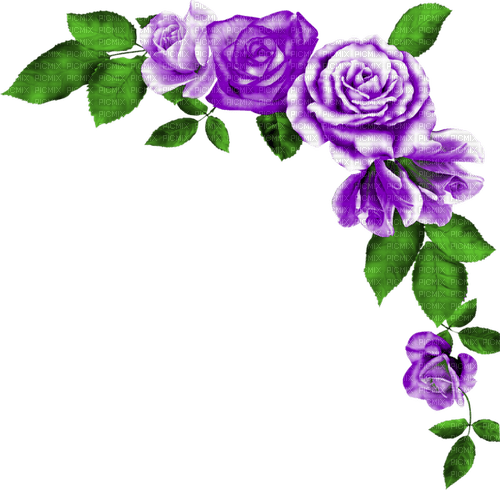 Roses.Purple - PNG gratuit