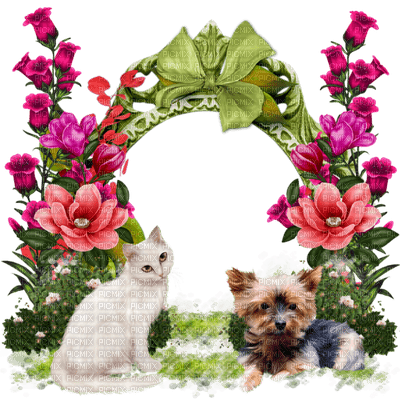 Kaz_Creations Dogs Dog Pup 🐶Cats Cat Kitten - png gratuito