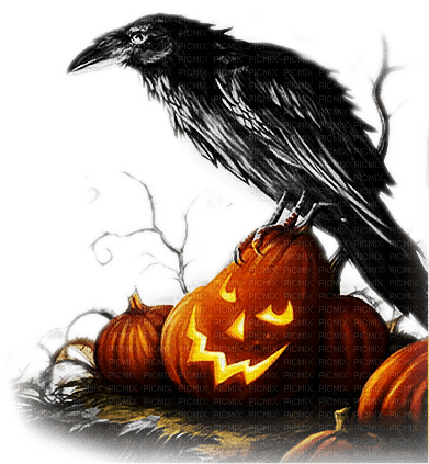 soave deco bird halloween pumpkin black white - PNG gratuit