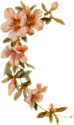 gala flowers - Безплатен анимиран GIF