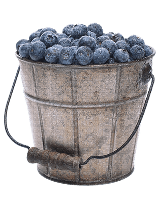 blueberries bp - png gratis