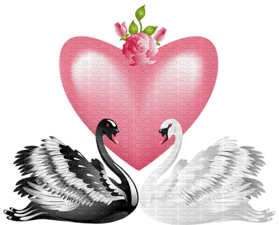 Kaz_Creations Valentine Deco Love Cute Swans - Free PNG