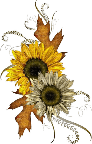 Herbst, Sonnenblumen, Autumn, Flowers - PNG gratuit