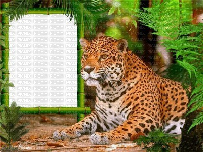 jaguar bp - Free PNG