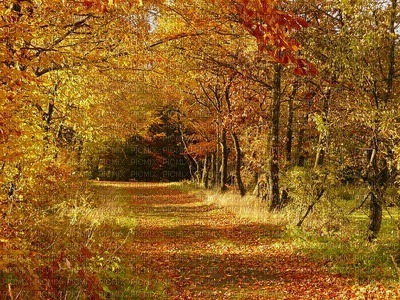 maisema landscape syksy autumn - ücretsiz png