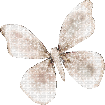 VanessaVallo _crea = vintage animated butterfly - GIF animado grátis