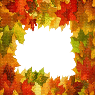 frame autumn leaves kikkapink - PNG gratuit