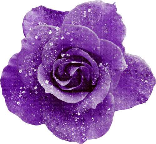 Glitter.Rose.Purple - PNG gratuit