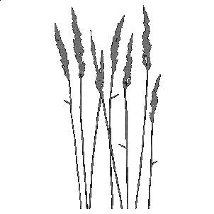 Трава - Ilmainen animoitu GIF