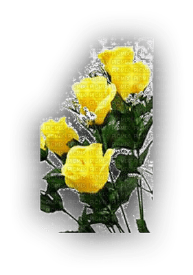 ROSES - ilmainen png