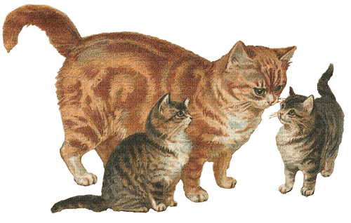 vintage cats - nemokama png