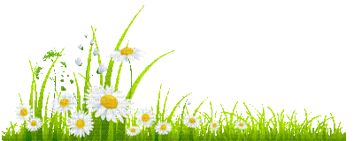 flower - Free animated GIF