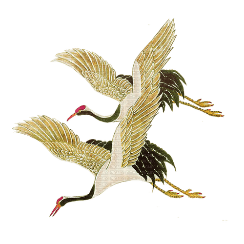 cranes - nemokama png