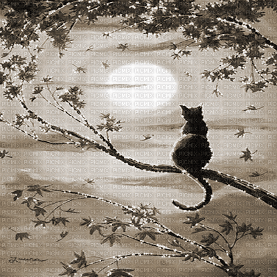 kikkapink background oriental  asian animated cat - GIF animado grátis