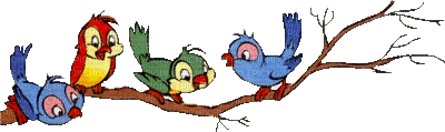 MMarcia gif pássaros birds - Animovaný GIF zadarmo