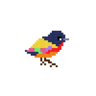 Colorful Pixel Bird - bezmaksas png