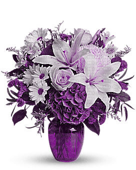 vase-flowers-purple - 無料png