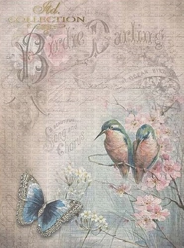 Hintergrund, Blumen, Vögel, Backround - ücretsiz png