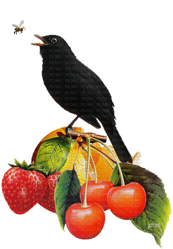 Bird with Fruits - Gratis geanimeerde GIF