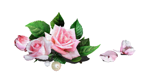 Rose Decoration - GIF เคลื่อนไหวฟรี