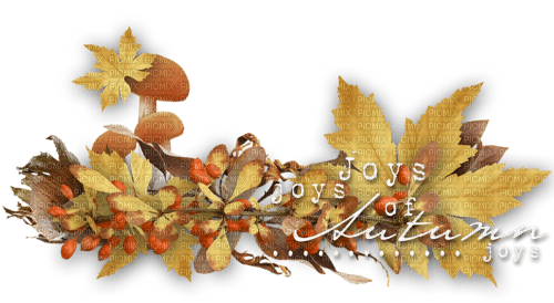 Joys Of Autumn Text - Bogusia - besplatni png