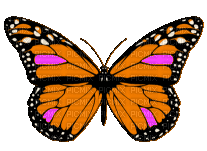 butterfly - Darmowy animowany GIF