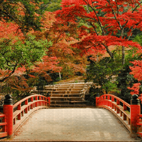 Japan Autumn - png gratis