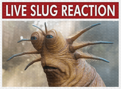LIVE SLUG REACTION - 免费PNG