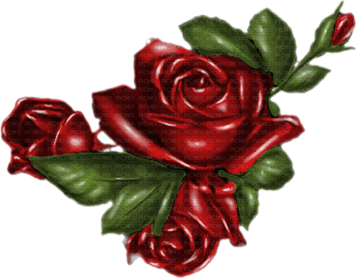 Red Rose - Bogusia - png grátis