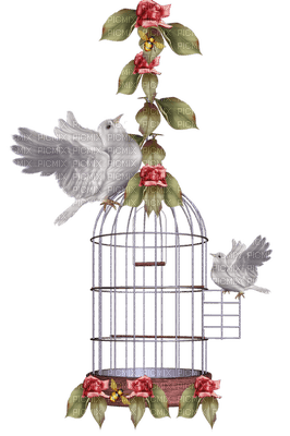 bird cage anastasia - ücretsiz png