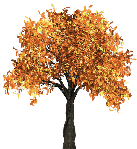 Herbst - PNG gratuit
