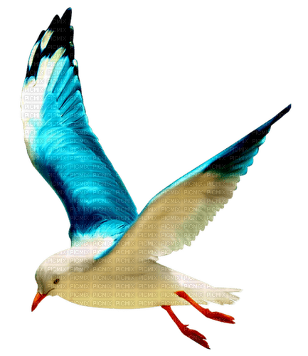 Птица - безплатен png