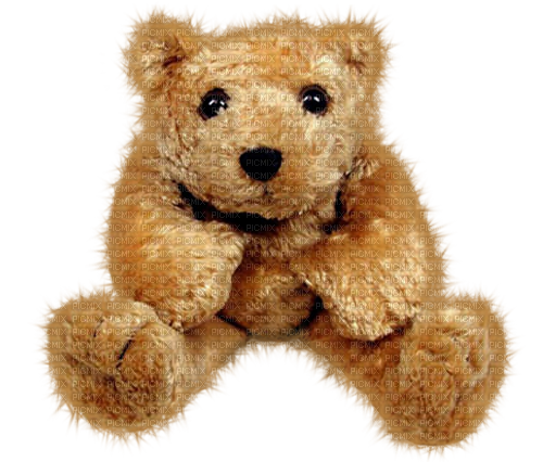 deco scrap spring teddy bear - PNG gratuit