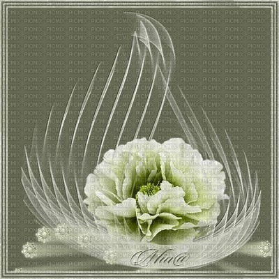 white flowers-sinedot - 免费PNG