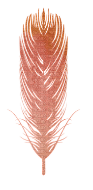 höyhen sulka feather sisustus decor - фрее пнг
